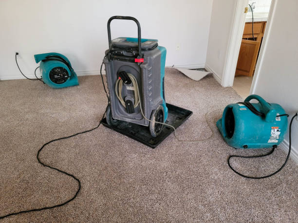  New Egypt, NJ Water damage restoration Pros