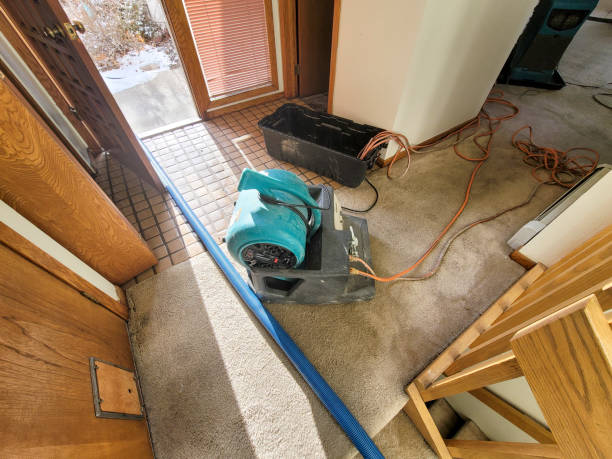 Best Emergency water extraction  in New Egypt, NJ
