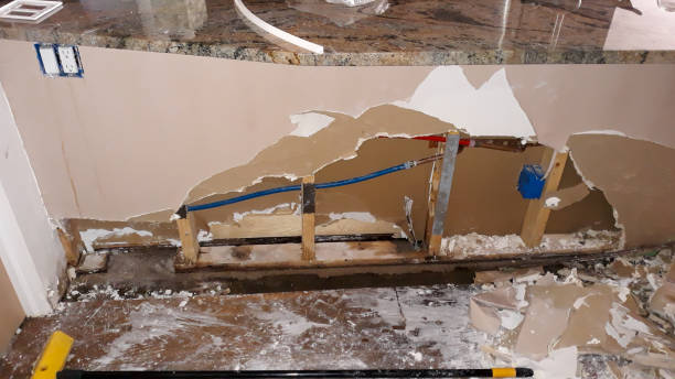 Best Water damage cleanup near me  in New Egypt, NJ