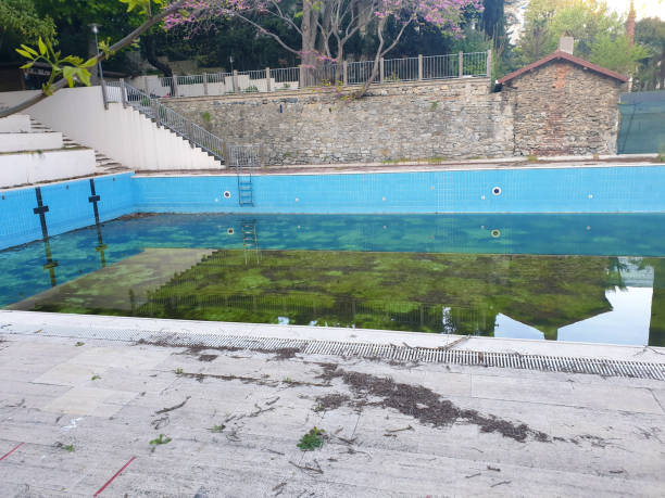 Best Flood restoration services  in New Egypt, NJ