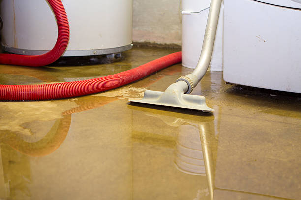 Best Carpet water damage restoration  in New Egypt, NJ