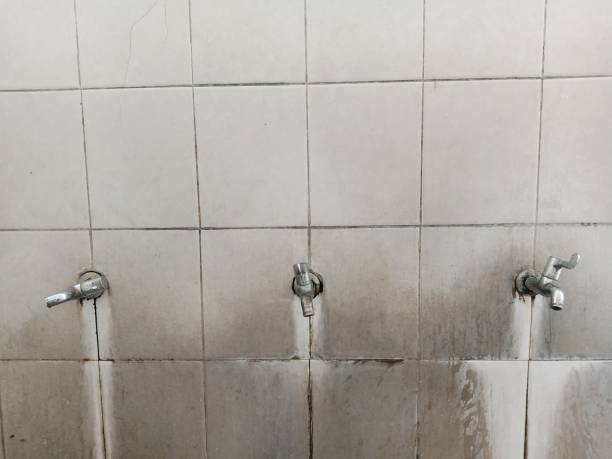 Trusted New Egypt, NJ Water damage restoration Experts