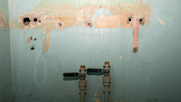 New Egypt, NJ Water damage restoration Company