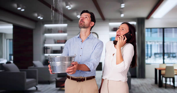 Best Sewage cleanup and water damage restoration  in New Egypt, NJ