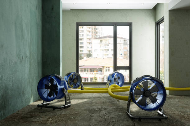 Best Water damage restoration near me  in New Egypt, NJ